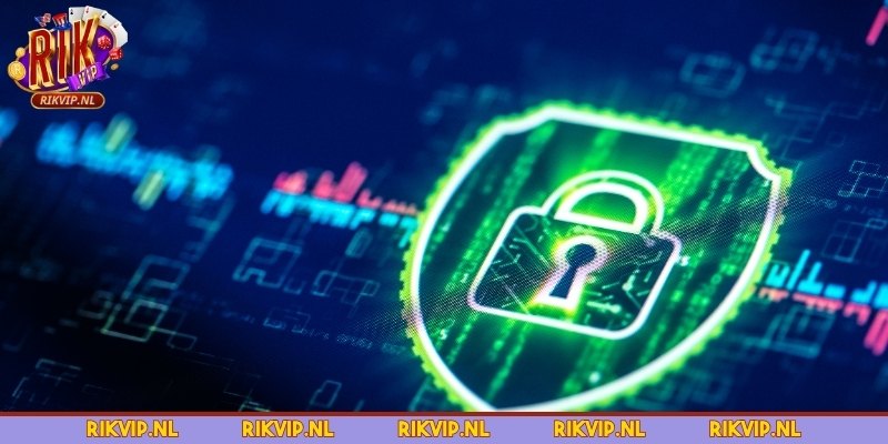Quyền lợi của mỗi khách hàng tại nền tảng khi tham gia